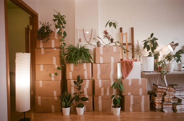 Moving boxes 