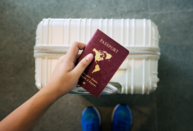 HSM vizesi (Highly Skilled Migrant vize) Hollanda'da